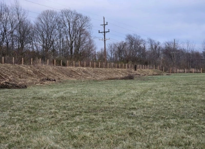 Clean yard after stump removal